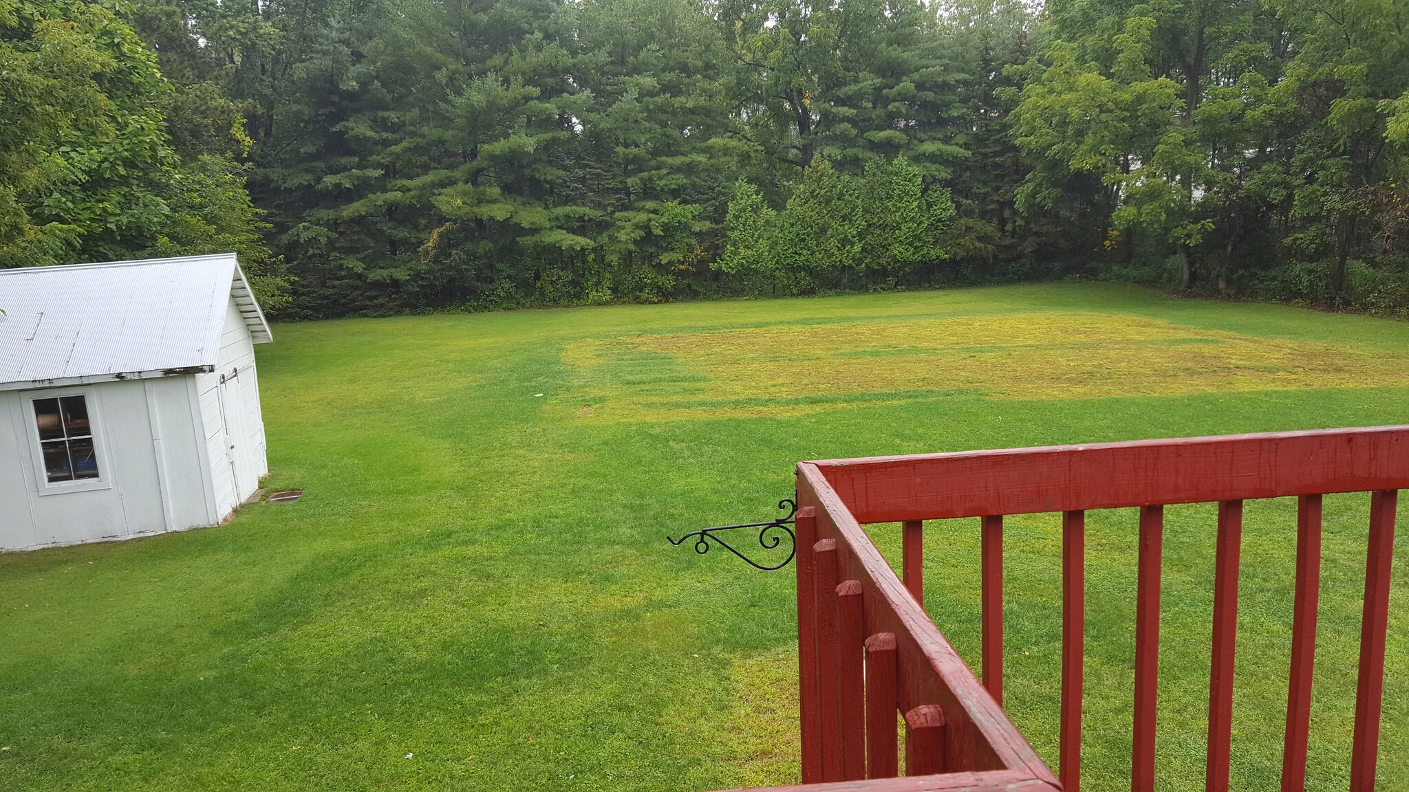 Building Photo - 794 Tanner Rd