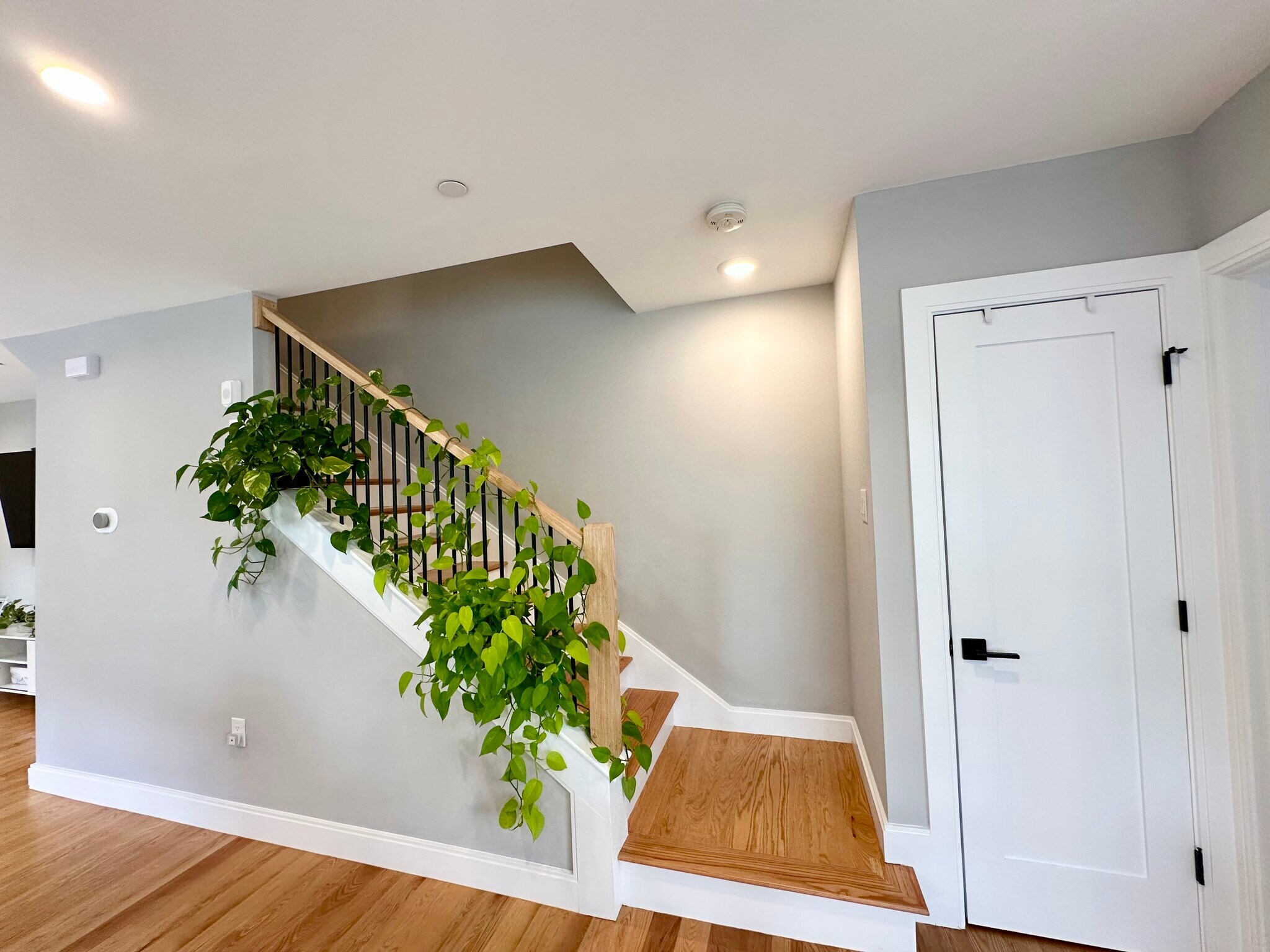 Building Photo - 86 Blossom St