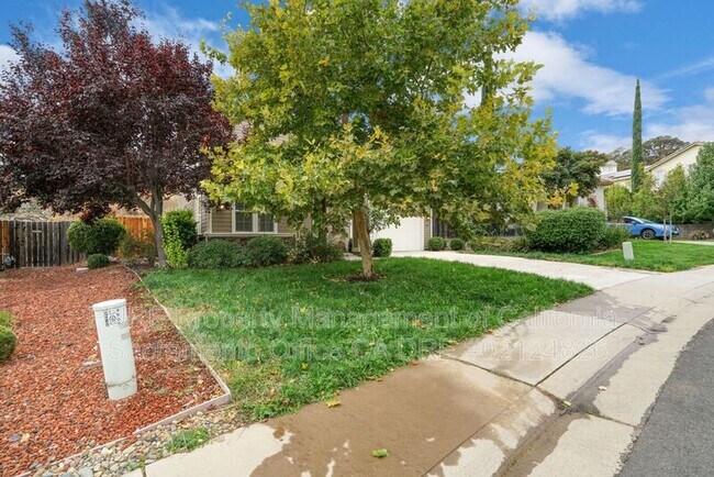 Building Photo - 4909 Concordia Dr