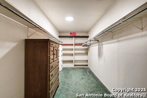 Building Photo - 4439 Greystone Dr