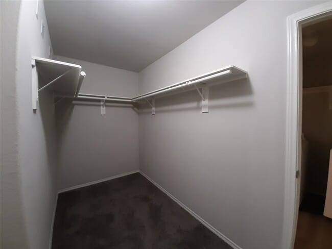 Building Photo - 221 Stalwart Hl Trl