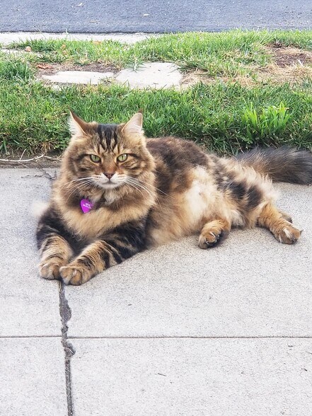 Building Photo - 1025 S Sherbourne Dr