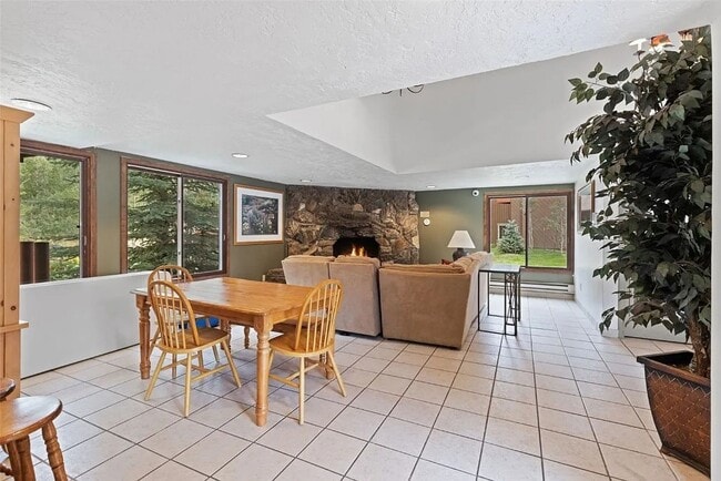 Building Photo - Winter Seasonal Rental- Wild Irishman 1039