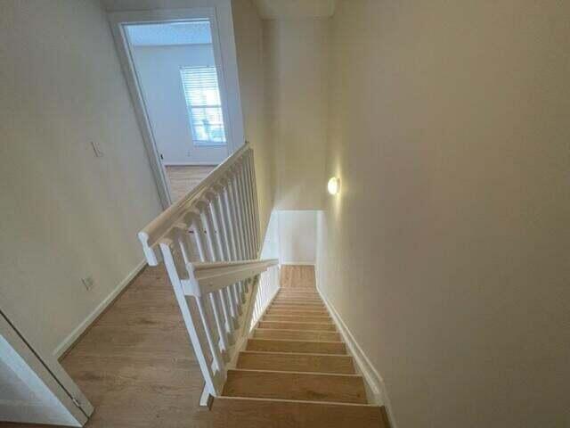 Building Photo - 5219 Palmbrooke Cir