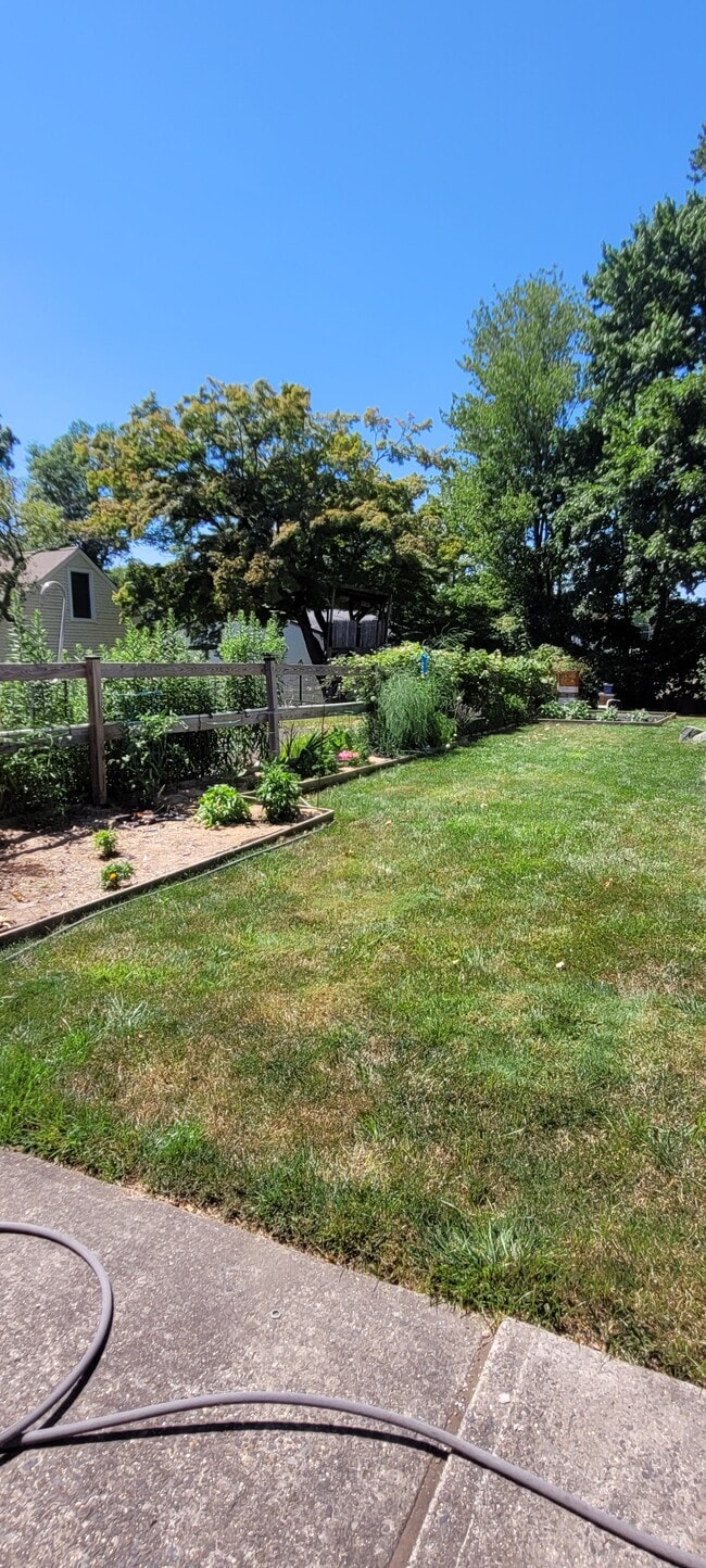 Backyard with garden area - 248 W Franklin St