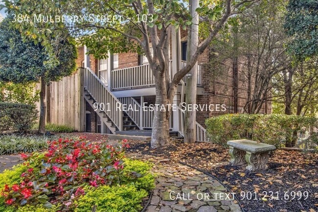 Building Photo - 384 Mulberry St