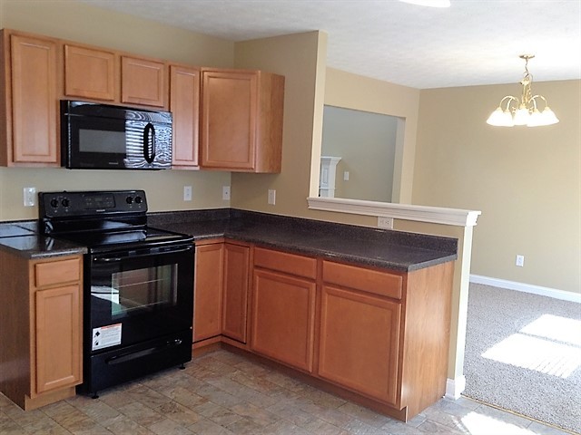 Building Photo - 1009 Palomino Pl
