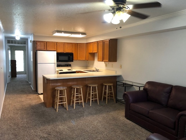 Building Photo - 541 E 500 N