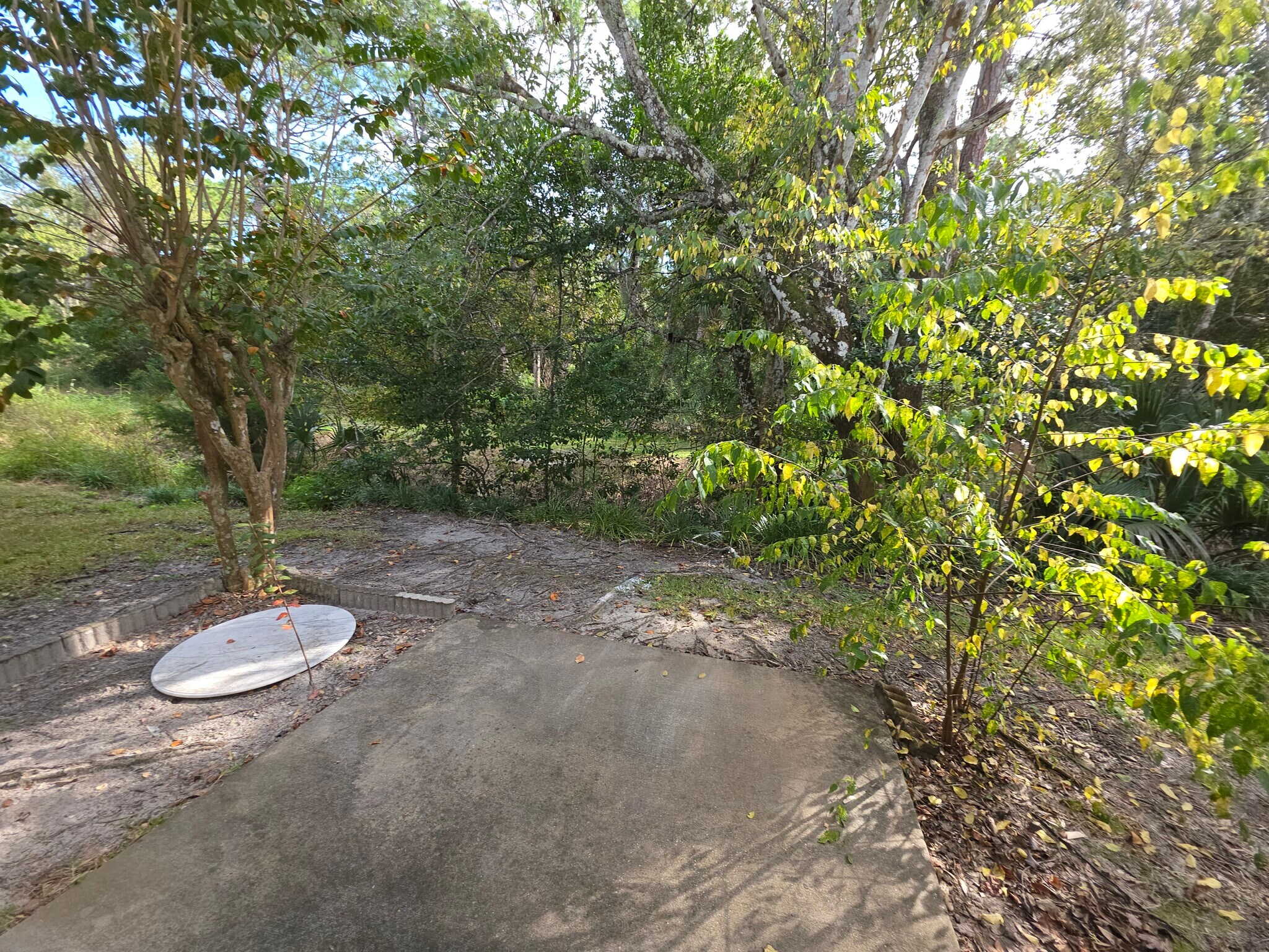 Building Photo - 1601 Big Tree Rd