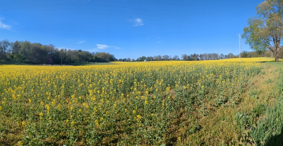 Building Photo - 8970 E Gull Lake Dr