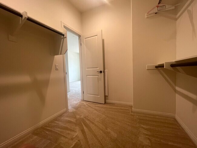 Building Photo - 2404 Sanabria Ln