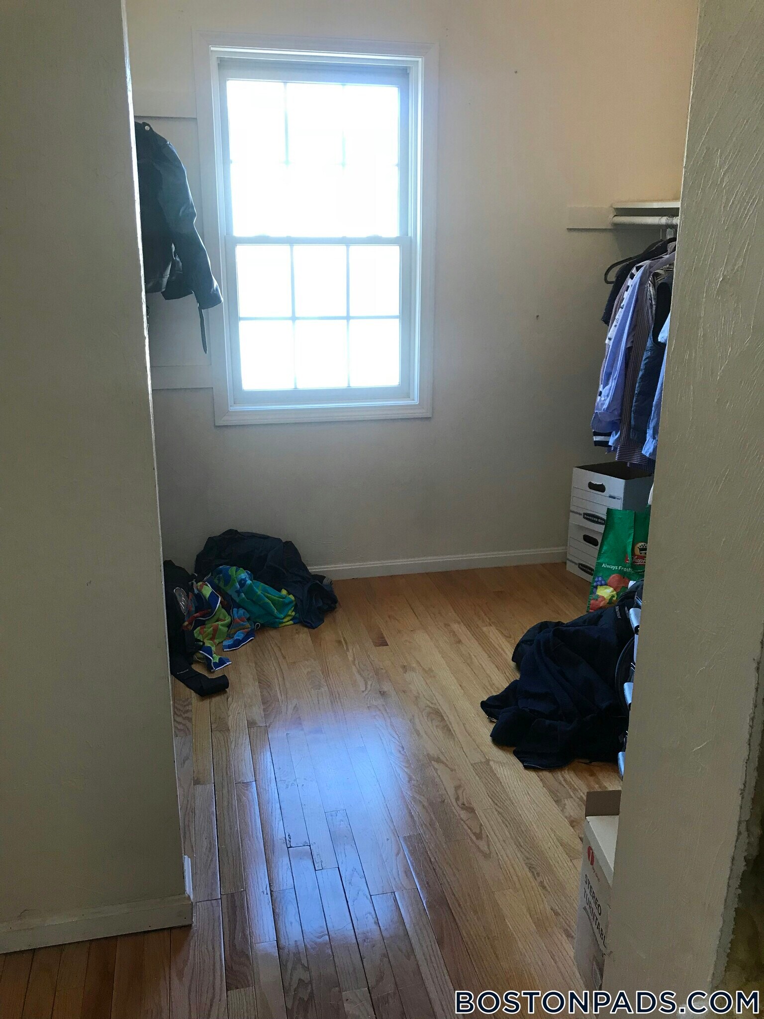 Building Photo - 6 Harleston St