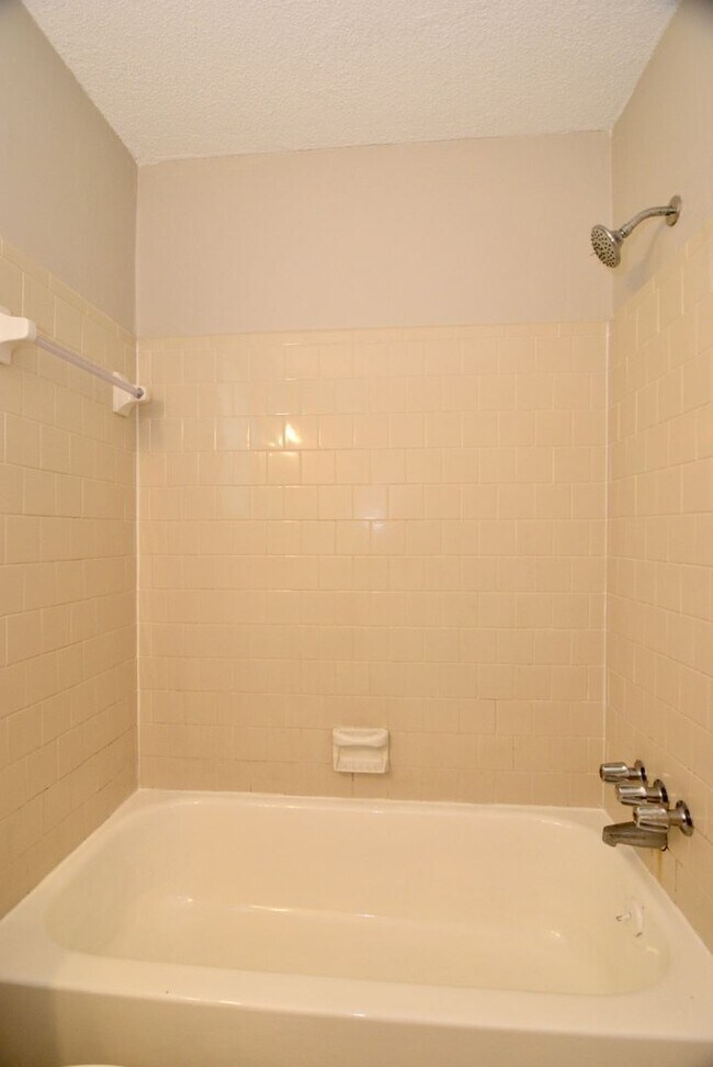 Building Photo - Renovated 3 Bed/2 Bath w/ Large Fenced Back Yard