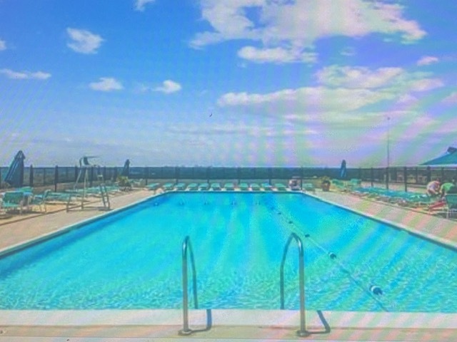 Olympic-size pool on The Willoughby roofdeck! - 4515 Willard Ave