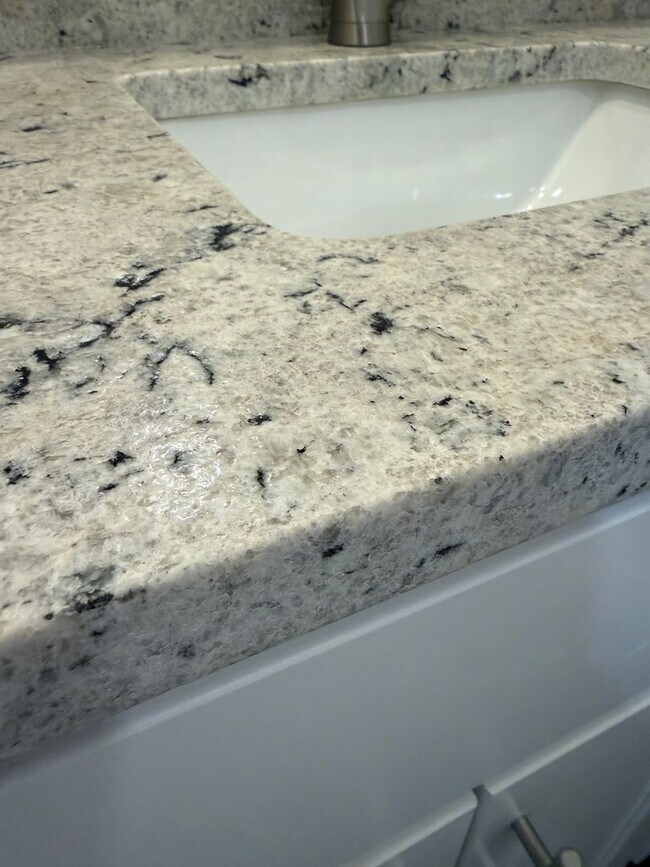 Building Photo - New Construction Rental-Black Mountain