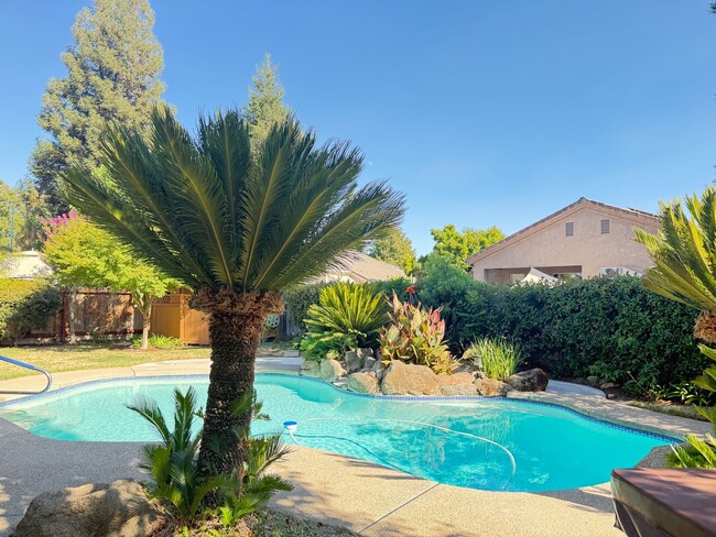 Building Photo - Wonderful 4 bedroom home in Clovis offering a pool, spa, 3 car garage, potential RV and or boat s...