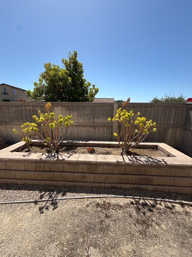 Building Photo - Beautiful Newer Rice Ranch Single Story Ho...