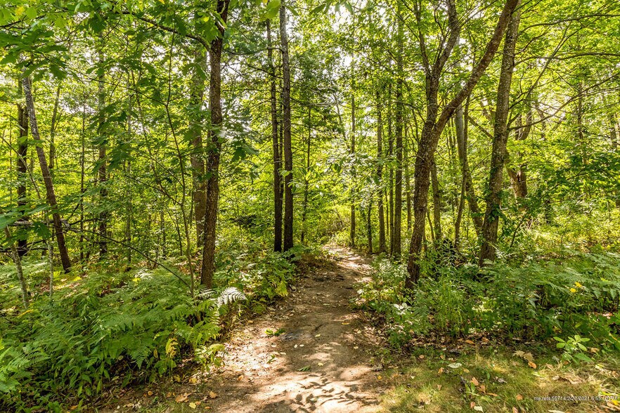Nature Trail - 175 Woodlawn Ave