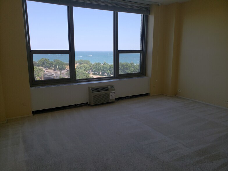 Building Photo - 1550 N Lake Shore Dr