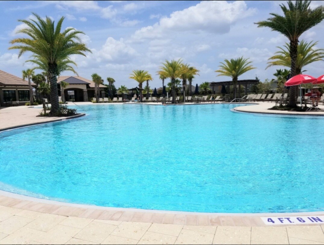 Beautiful pool - 2500 Avian Loop