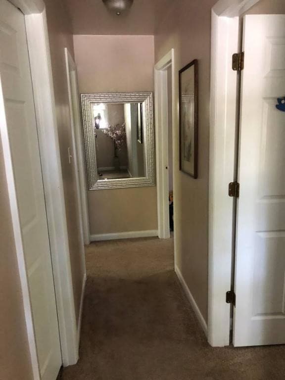 Building Photo - 589 Shelbourne Rd