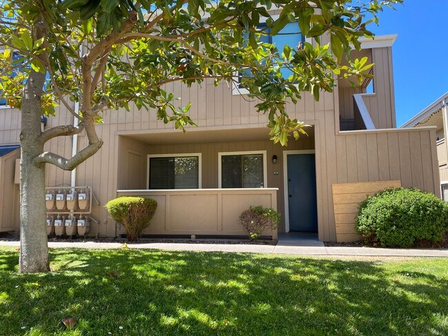 Primary Photo - Light and Bright Monterey Condo!