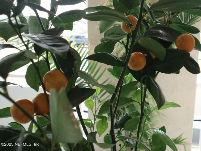 Building Photo - 400 E Bay St