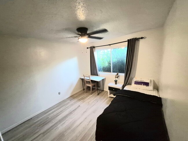 Building Photo - 1533 Bosque Dr