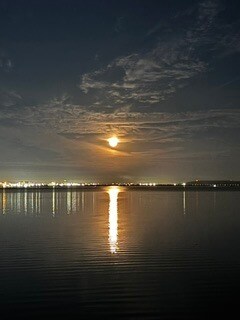 Building Photo - 4950 Bayshore Blvd