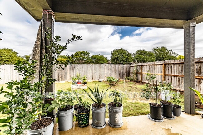Building Photo - 3033 Casillero St