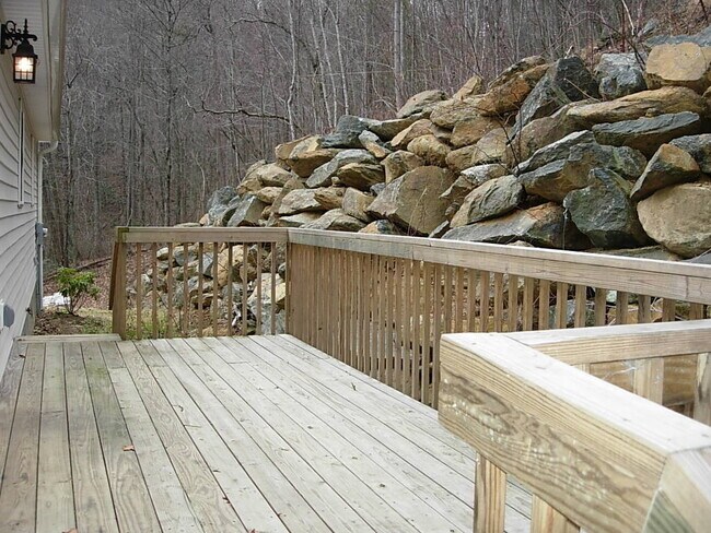 Building Photo - Swannanoa Rental! 6 or 12 month lease options!