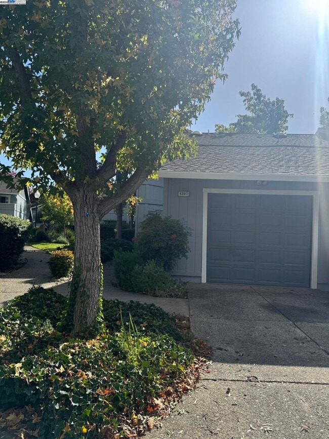 Building Photo - 4207 Sheldon Cir