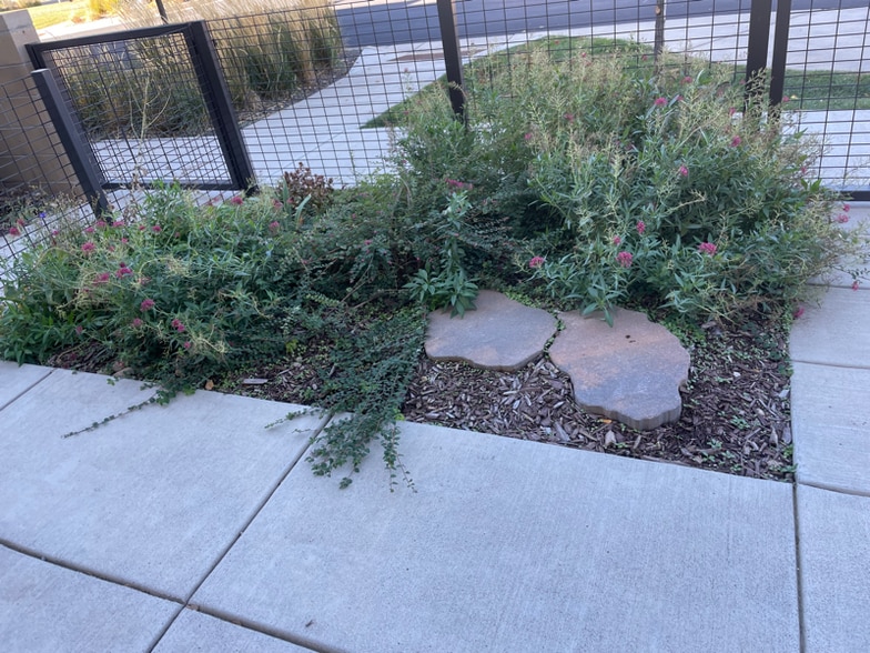 Building Photo - 225 Green Leaf Street