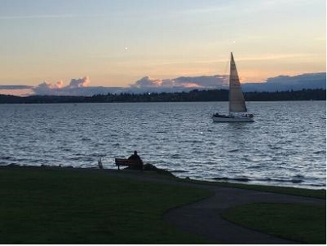 Single Sailboat seen from property - 6620 Lake Washington Blvd NE