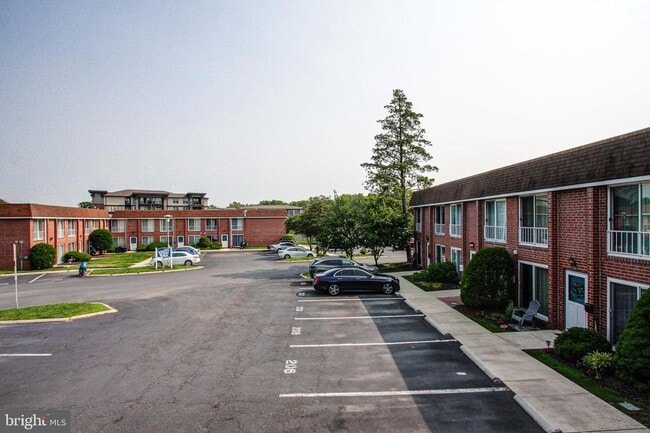 Building Photo - 204 Saratoga Ct