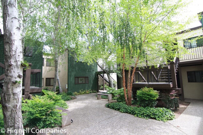 Primary Photo - Clubhouse! Pool! Coutyard!