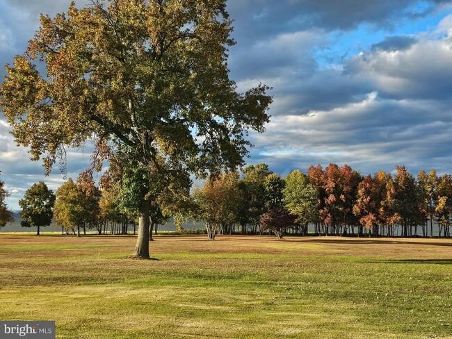 Building Photo - 82 Basin Rd