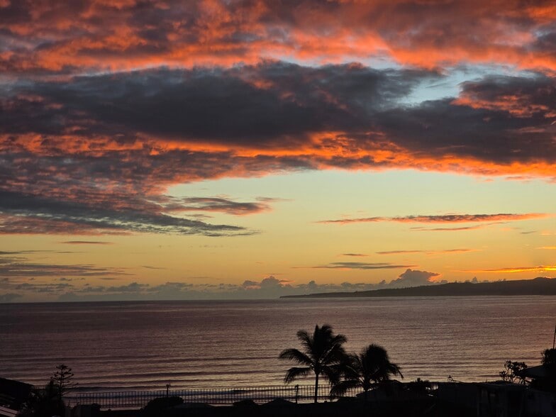 Building Photo - 1367 Kakae Pl