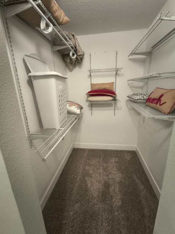 Building Photo - 102 Bob White Ct