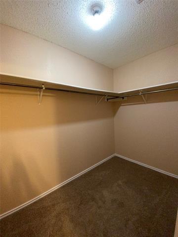 Building Photo - 313 Willow Oak Dr