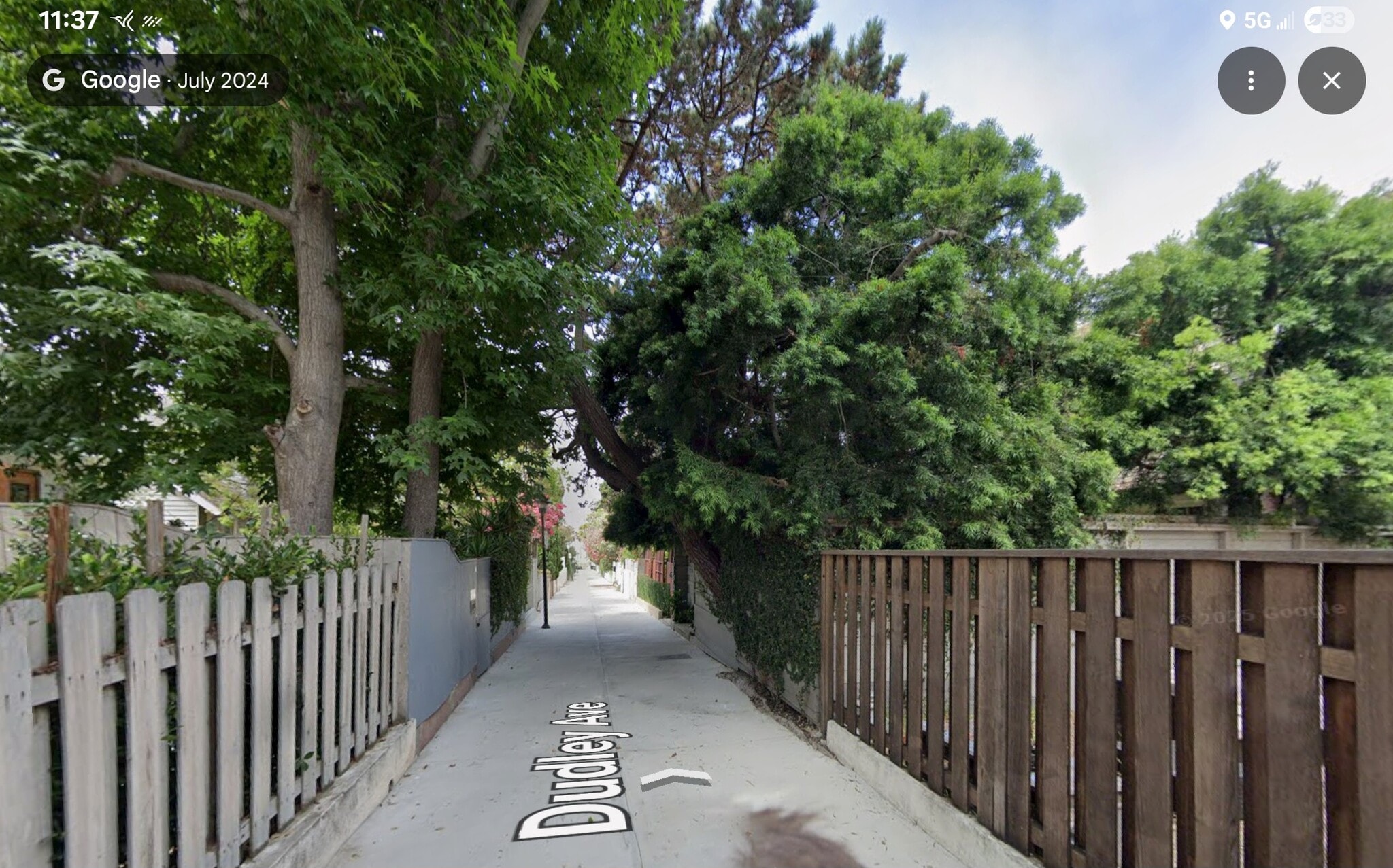 DUDLEY AVENUE WALK STREET - 49 Dudley Ave