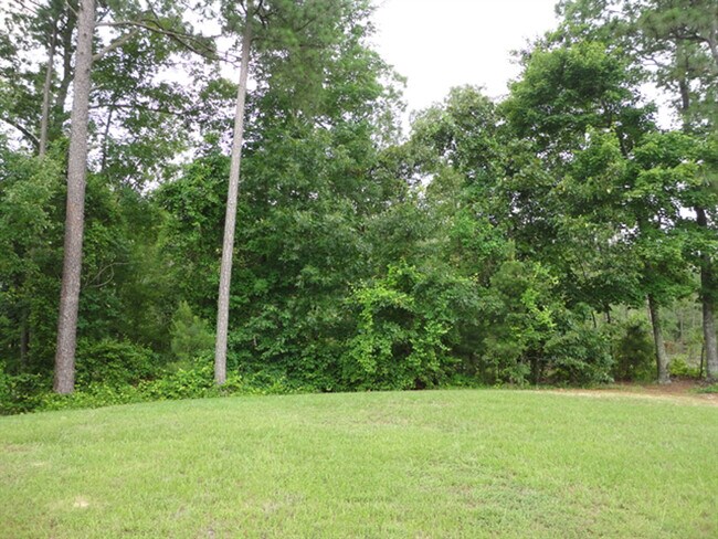 Building Photo - 500 Birchtree Valley Ct