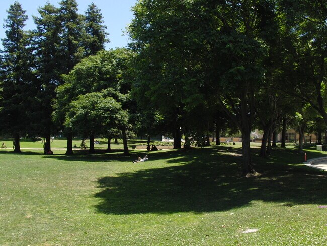 Roxbury Park lawn & trees - 456 S Spalding Dr