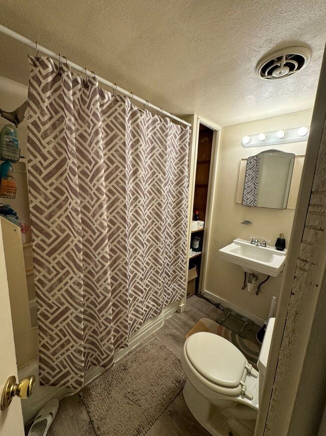 Building Photo - Pitt Student Housing – Spacious 5-Bed, 2-B...