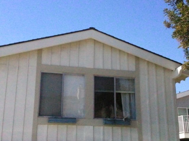Building Photo - 33901 Copper Lantern St