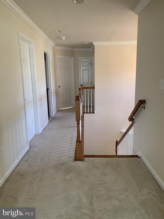 Building Photo - 8379 Academy Rd