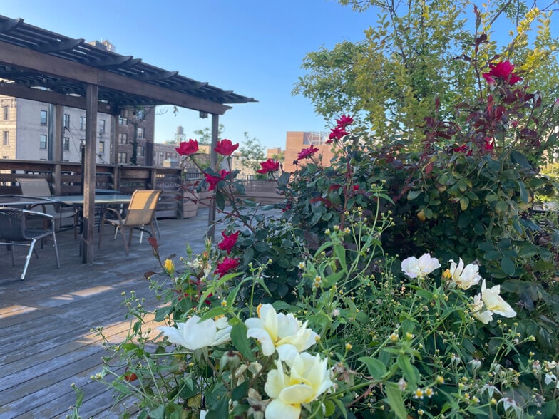 Primary Photo - 615 W 113th St