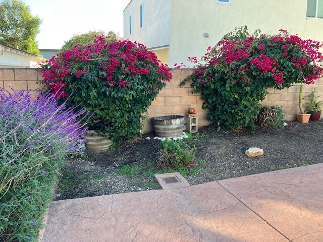 Garden - 131 Montecito Ave