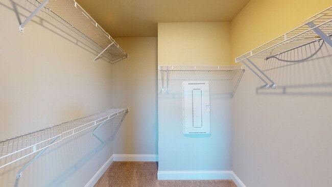 Building Photo - 2608 Sailor Rose Ln