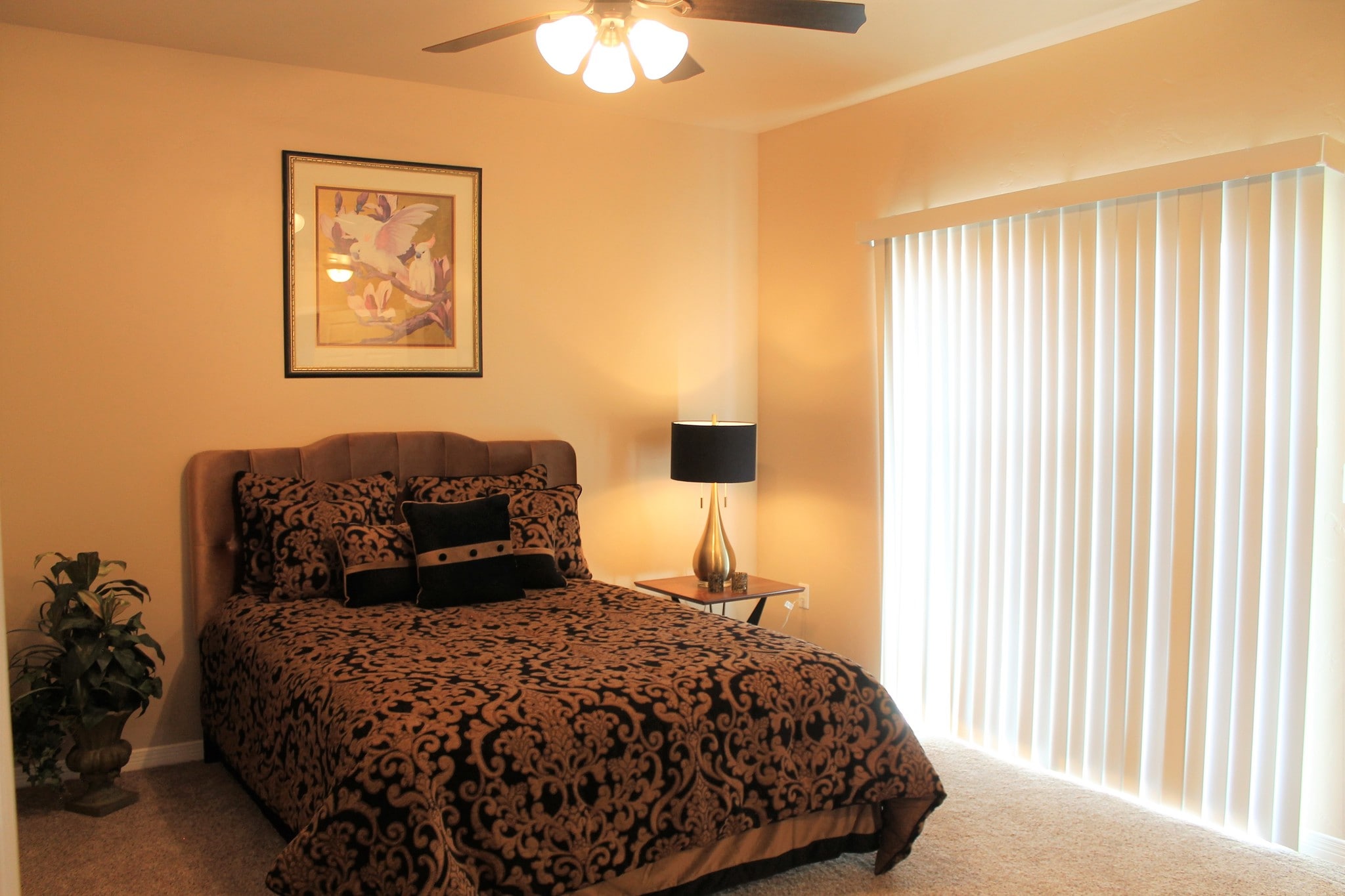 Large Master Bedroom - 4201 Northrise Dr